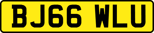 BJ66WLU