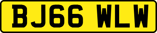 BJ66WLW