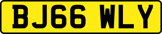 BJ66WLY