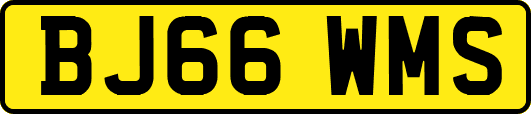 BJ66WMS