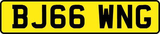 BJ66WNG