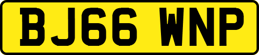BJ66WNP