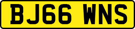 BJ66WNS