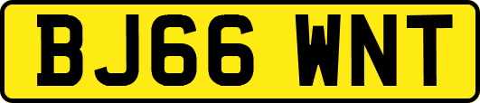BJ66WNT