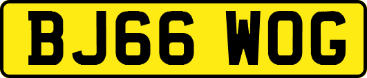 BJ66WOG