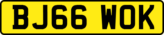 BJ66WOK