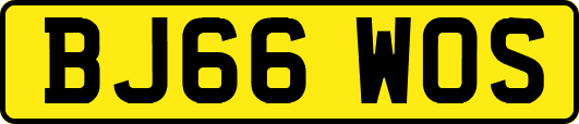 BJ66WOS