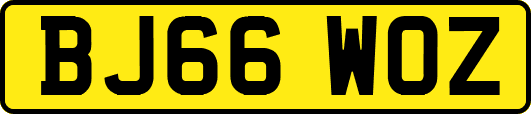 BJ66WOZ