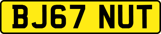 BJ67NUT