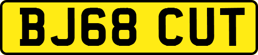 BJ68CUT