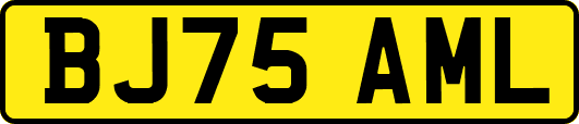 BJ75AML