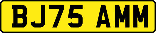 BJ75AMM