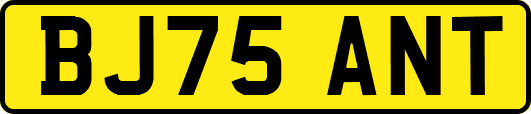 BJ75ANT