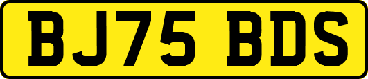 BJ75BDS