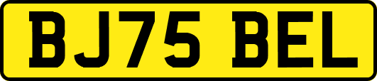 BJ75BEL