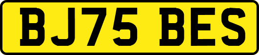 BJ75BES