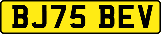 BJ75BEV