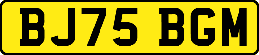 BJ75BGM