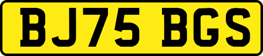 BJ75BGS