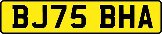 BJ75BHA