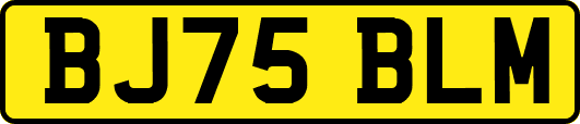 BJ75BLM