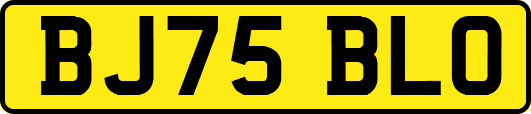 BJ75BLO