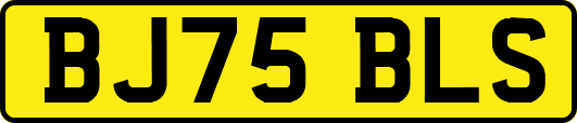 BJ75BLS