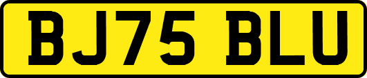 BJ75BLU