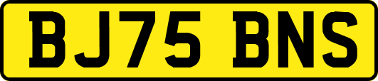 BJ75BNS