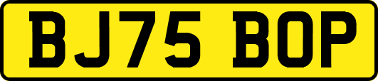 BJ75BOP