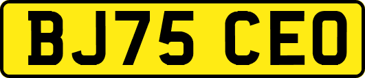 BJ75CEO