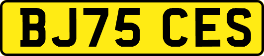 BJ75CES