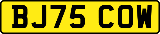 BJ75COW