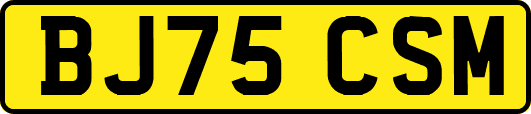 BJ75CSM