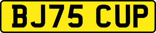 BJ75CUP