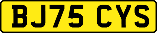 BJ75CYS