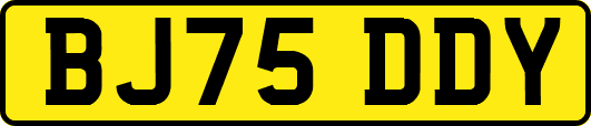 BJ75DDY
