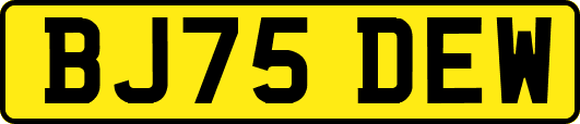 BJ75DEW