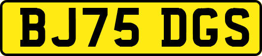 BJ75DGS