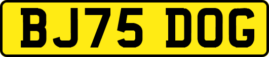 BJ75DOG