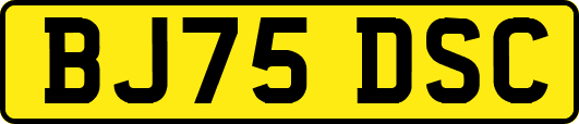 BJ75DSC