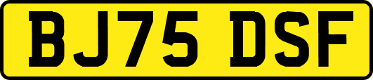 BJ75DSF