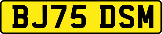 BJ75DSM