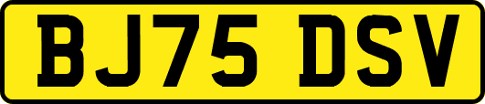 BJ75DSV
