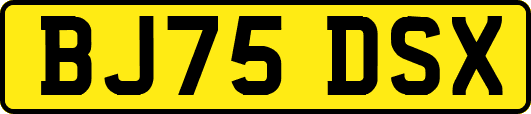 BJ75DSX
