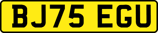 BJ75EGU