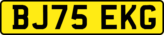 BJ75EKG