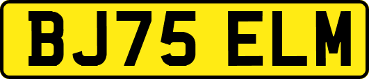 BJ75ELM