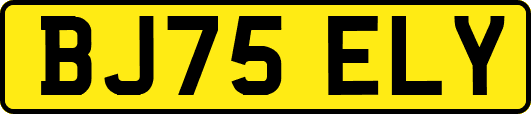 BJ75ELY