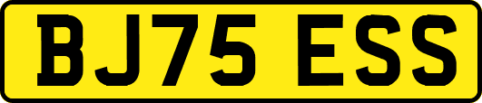 BJ75ESS